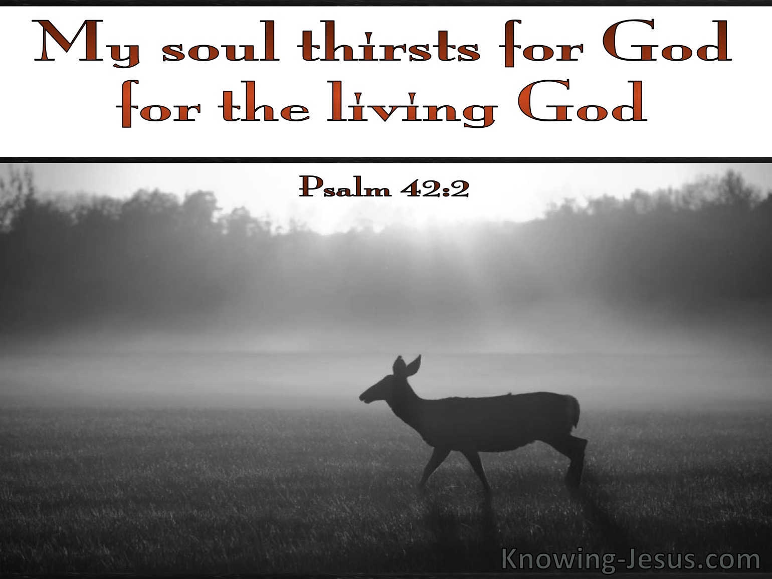 What Does Psalm 42 2 Mean 